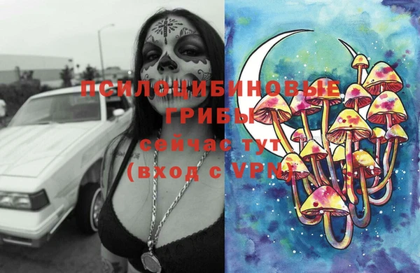 ешки Карпинск