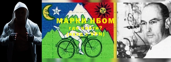 гашик Касимов