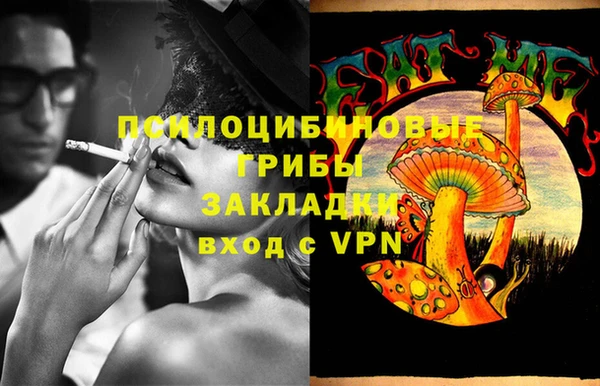 ешки Карпинск