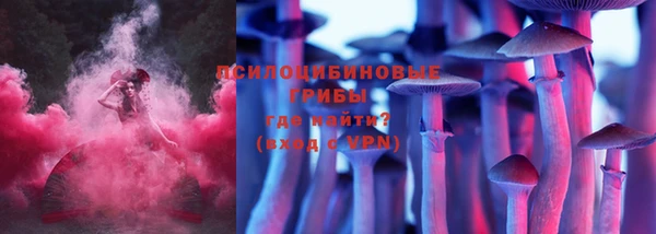 гашик Касимов