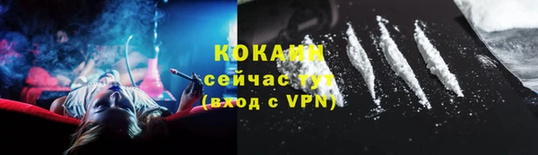гашик Касимов
