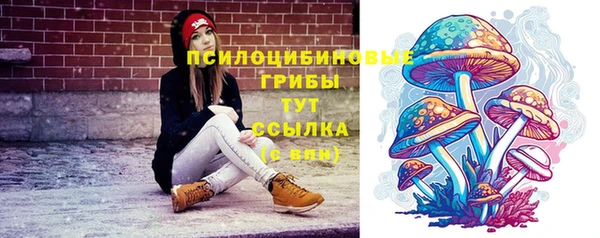 Альфа ПВП Карталы