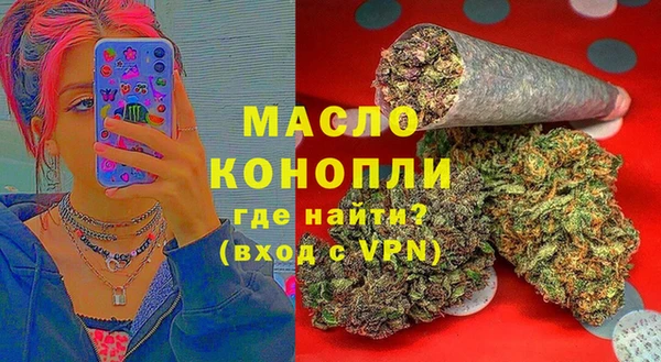 гашик Касимов