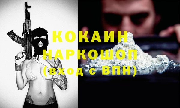 гашик Касимов