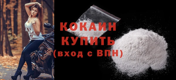 гашик Касимов